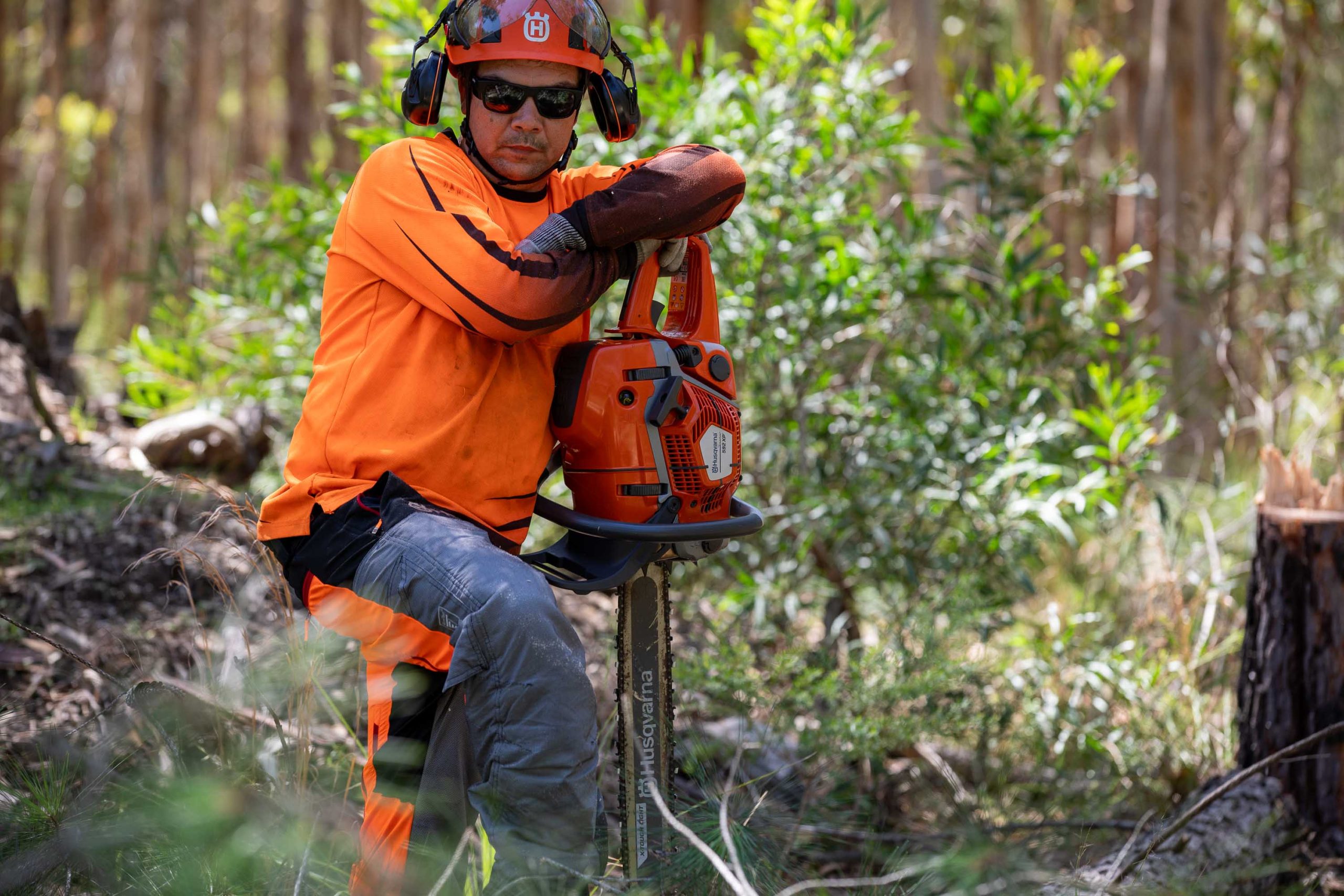 592 XP Chainsaw image 4