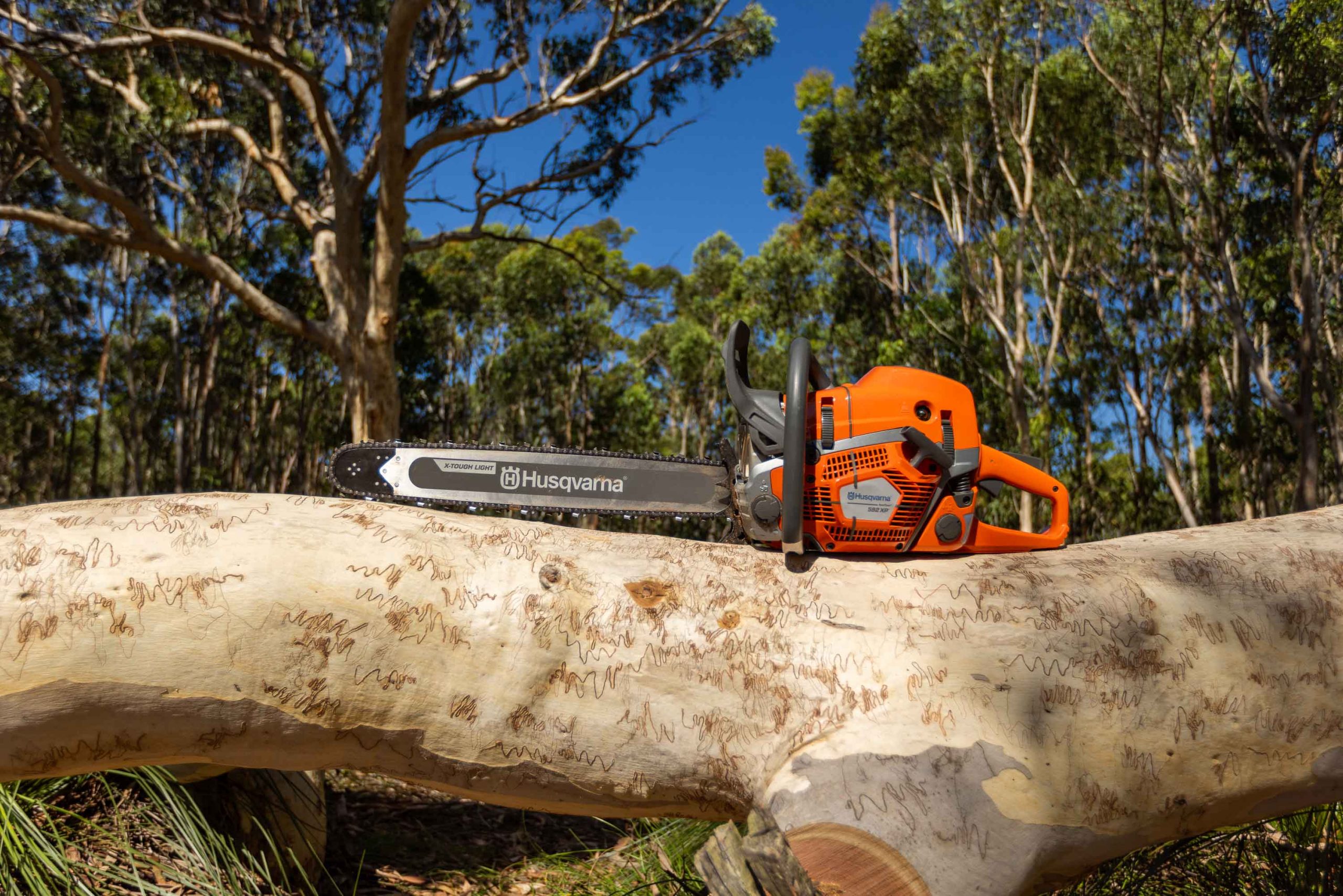 592 XP Chainsaw image 5