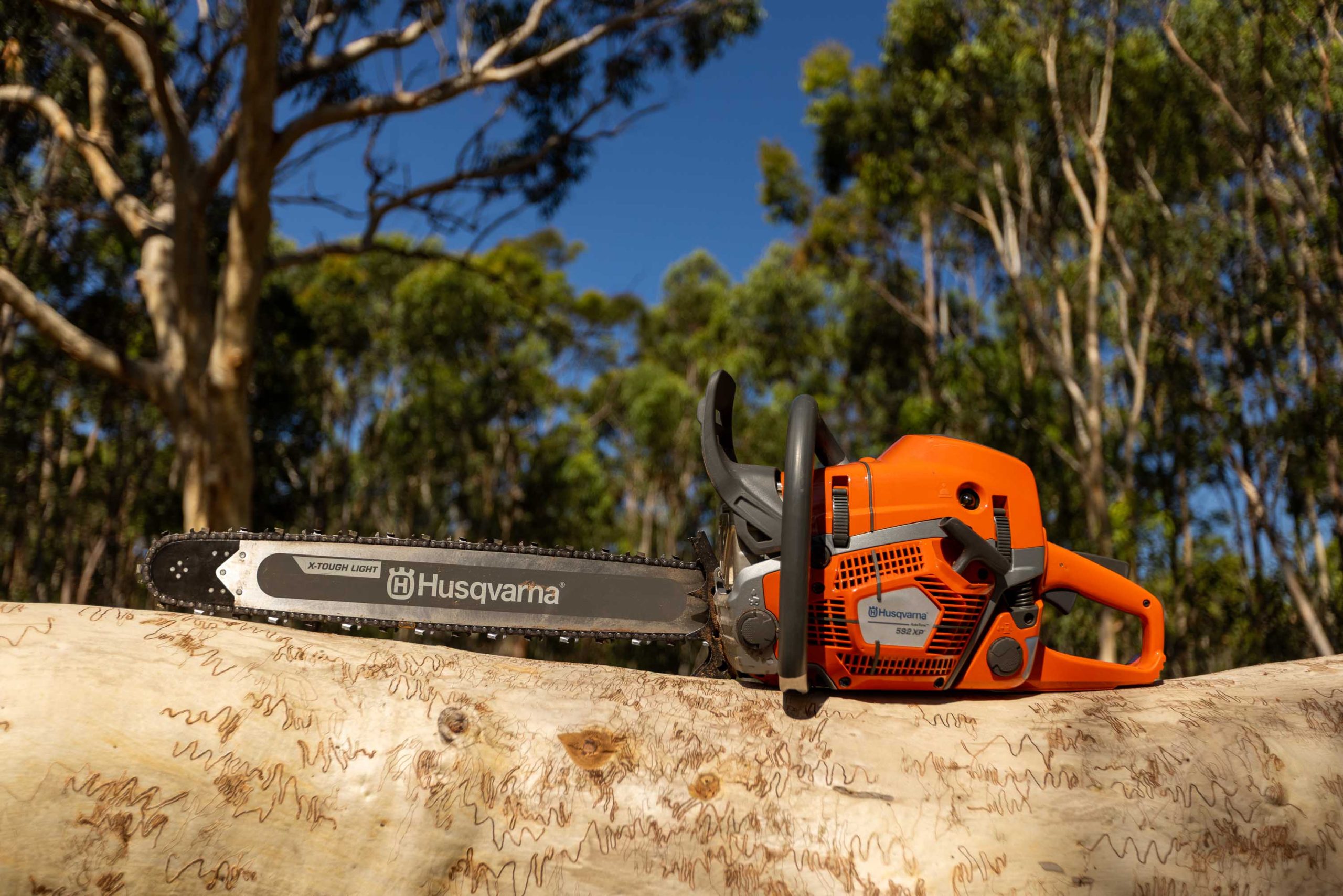 592 XP Chainsaw image 6