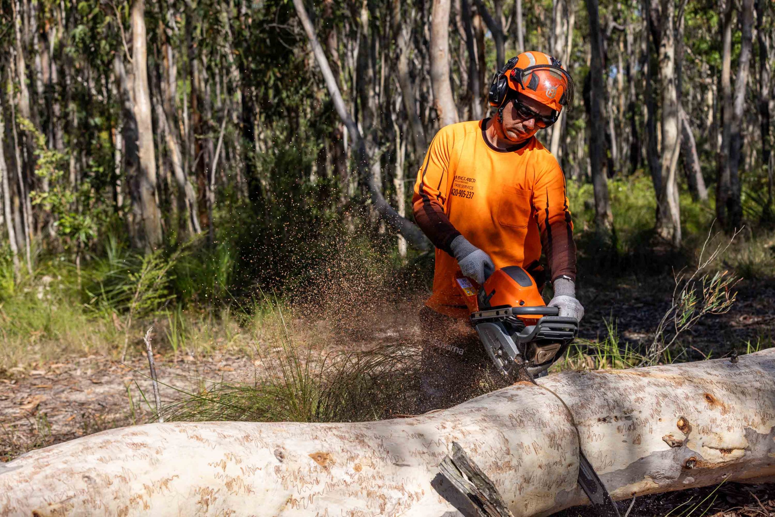 592 XP Chainsaw image 9