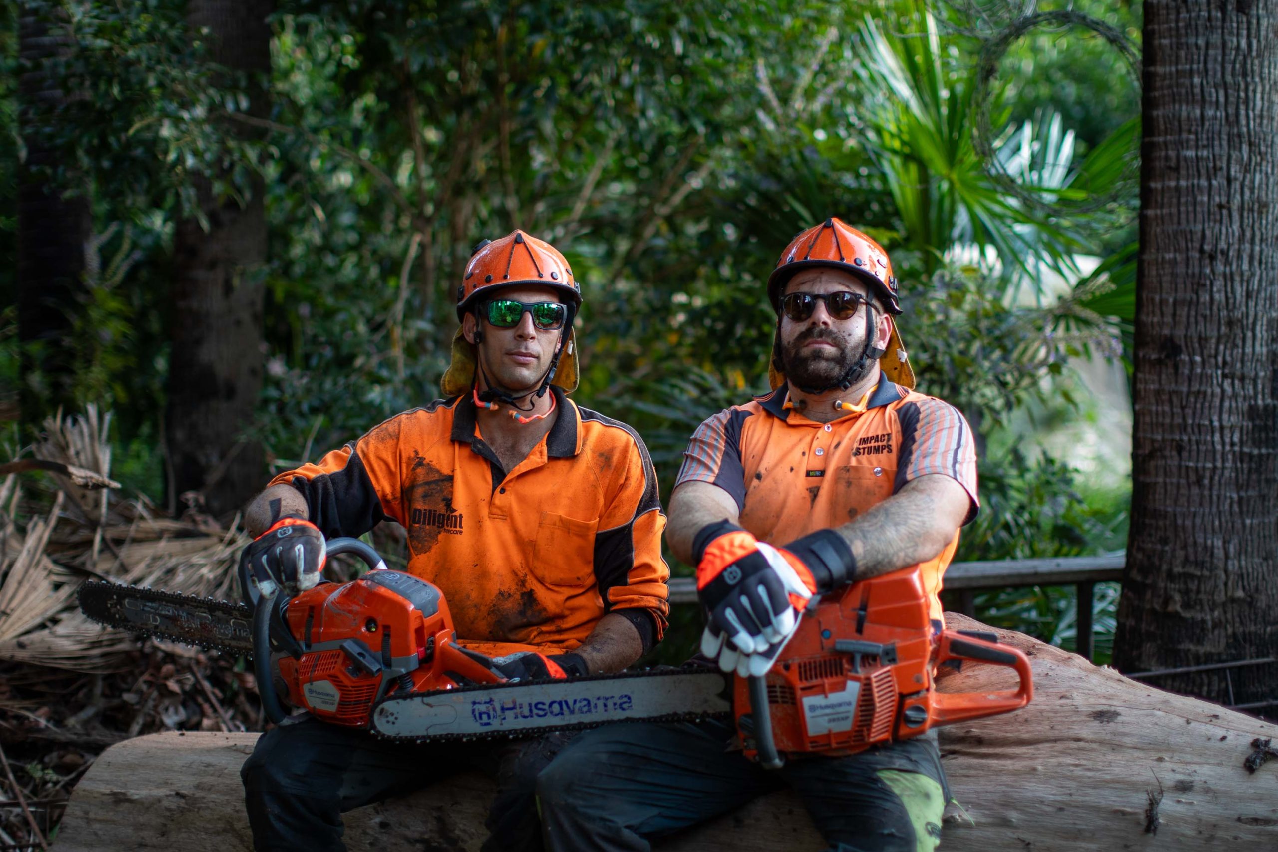 592 XP Chainsaw image 12
