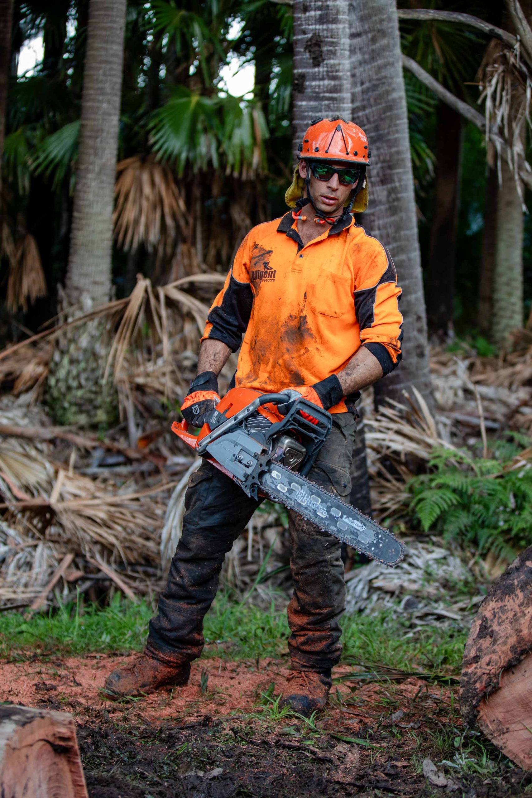 592 XP Chainsaw image 2