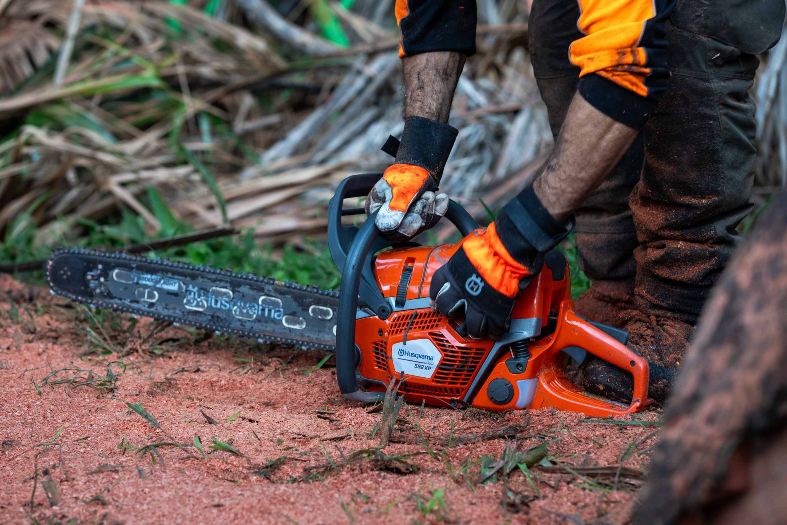 592 XP Chainsaw image 1