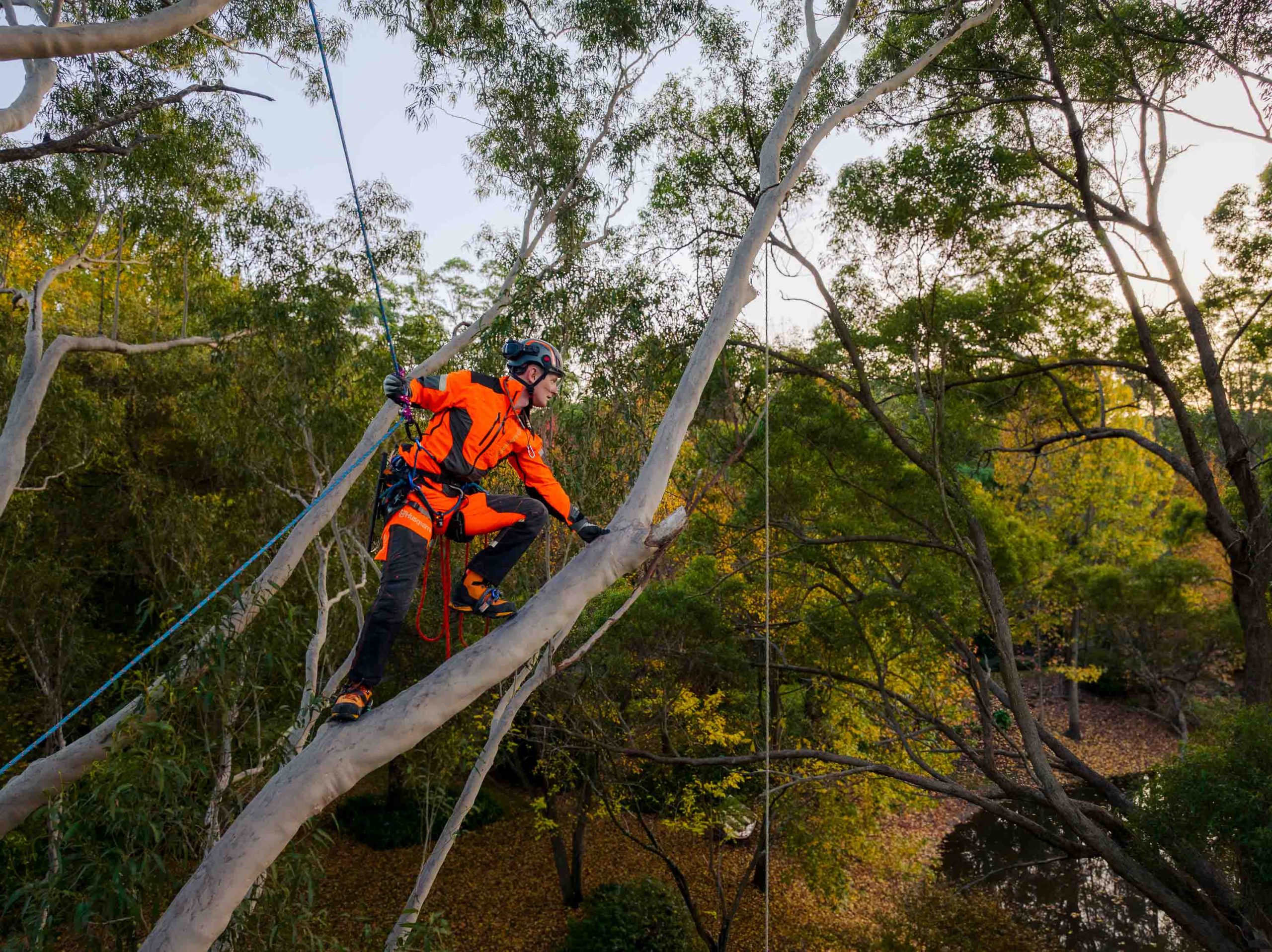 Husqvarna Climbing Gear 3