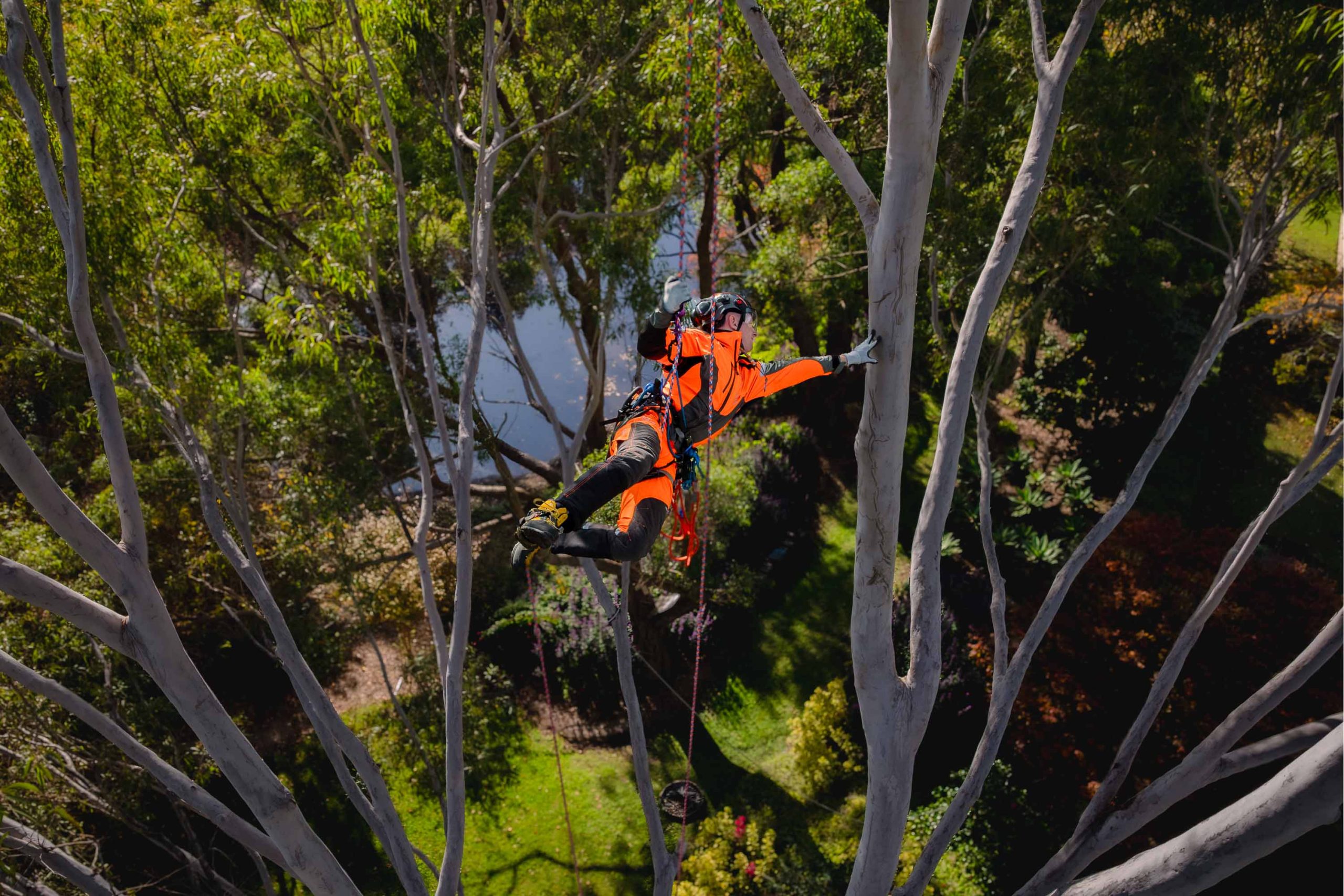 Husqvarna Climbing Gear