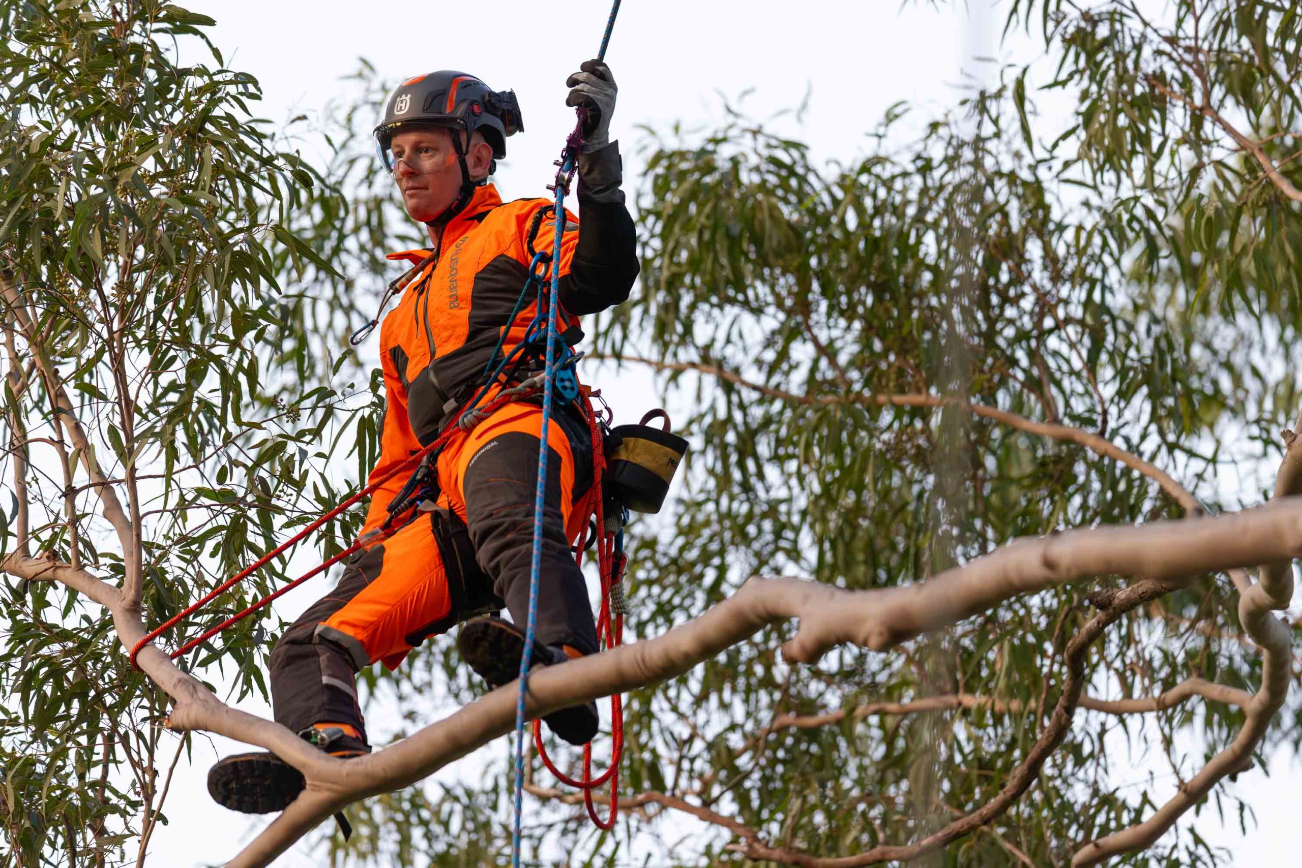 Husqvarna Climbing Gear 5