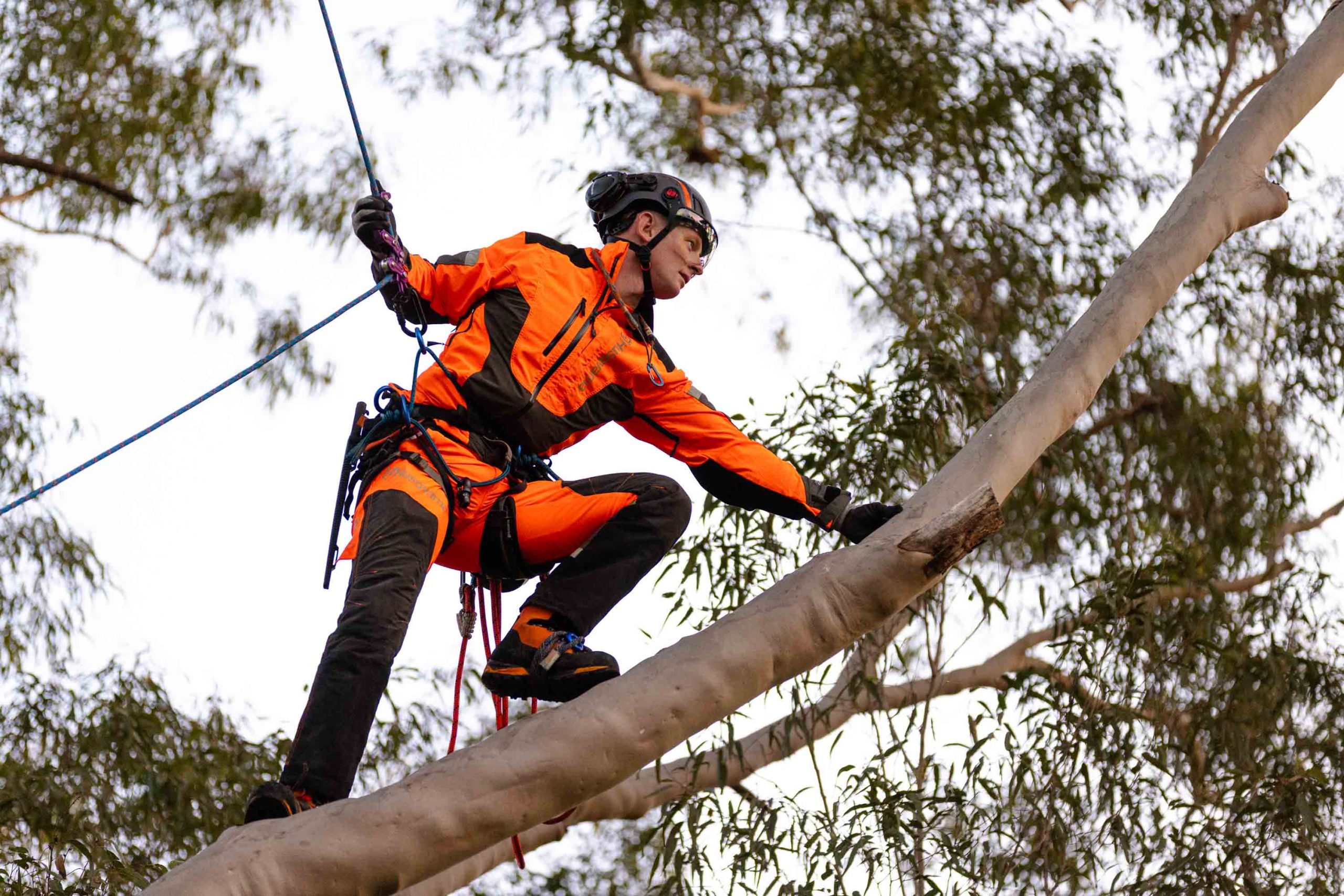 Husqvarna Climbing Gear 6