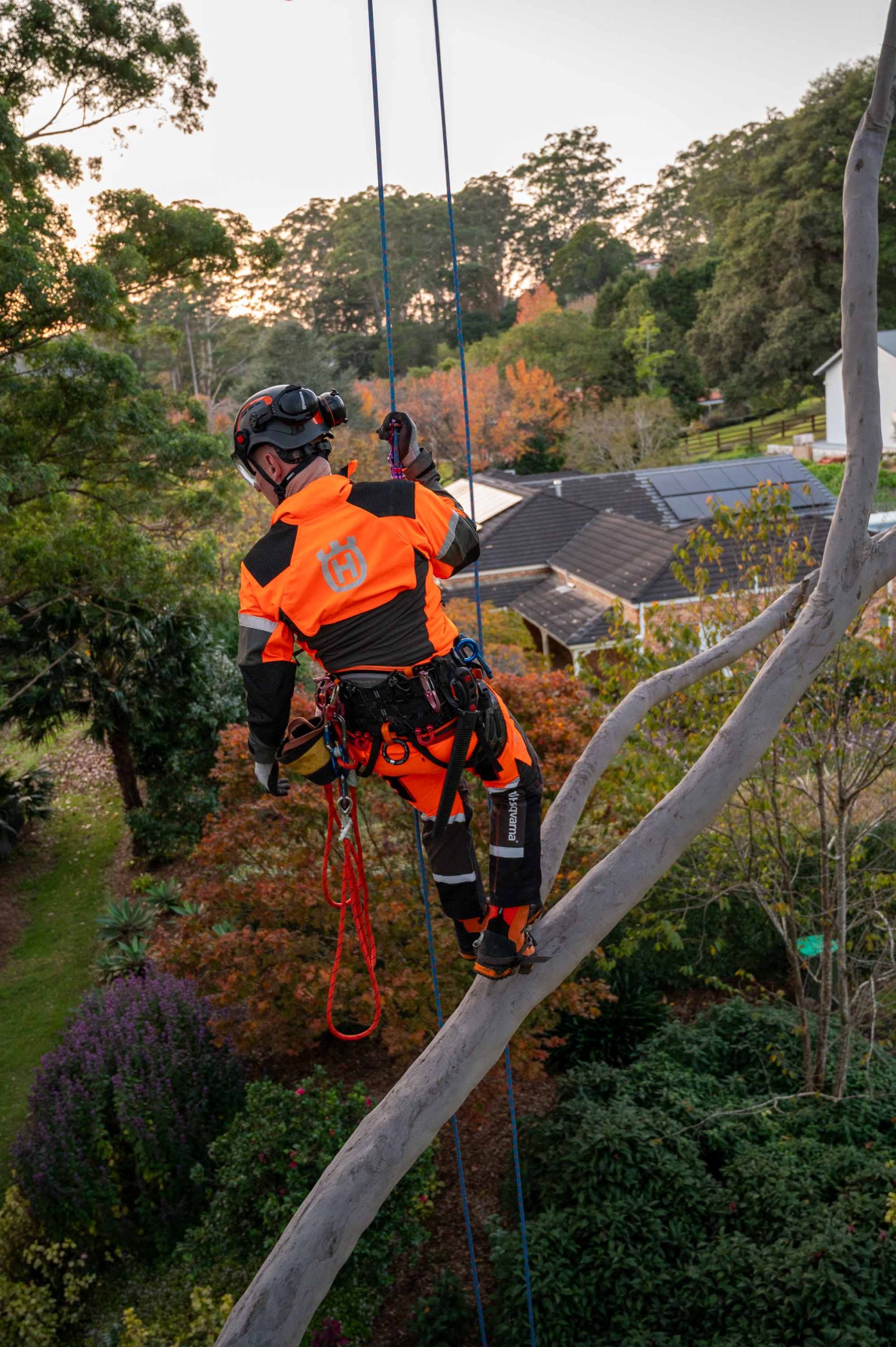 Husqvarna Climbing Gear 7