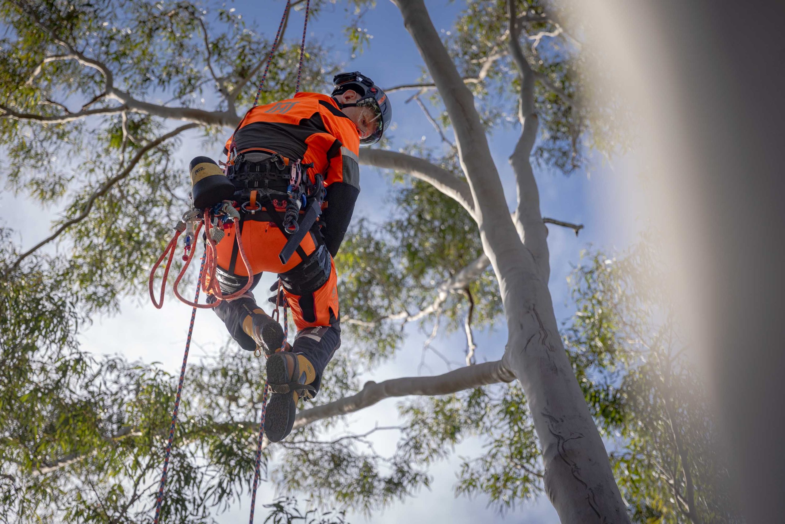 Husqvarna Climbing Gear 10