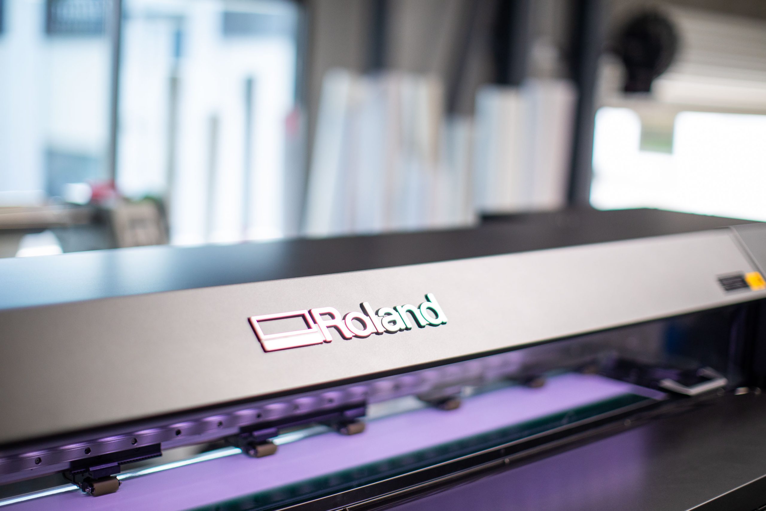 Roland DG 12